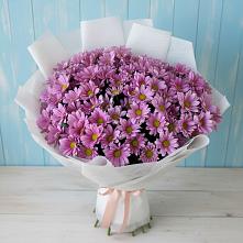 Букет цветов из:  Хризантемы #REPLACE_PRED# Обнинске