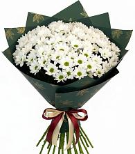 Букет цветов из:  Хризантемы #REPLACE_PRED# Обнинске